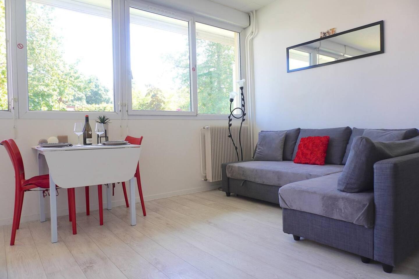 Appartement La Roseraie Parking Prive Mâcon Exteriér fotografie
