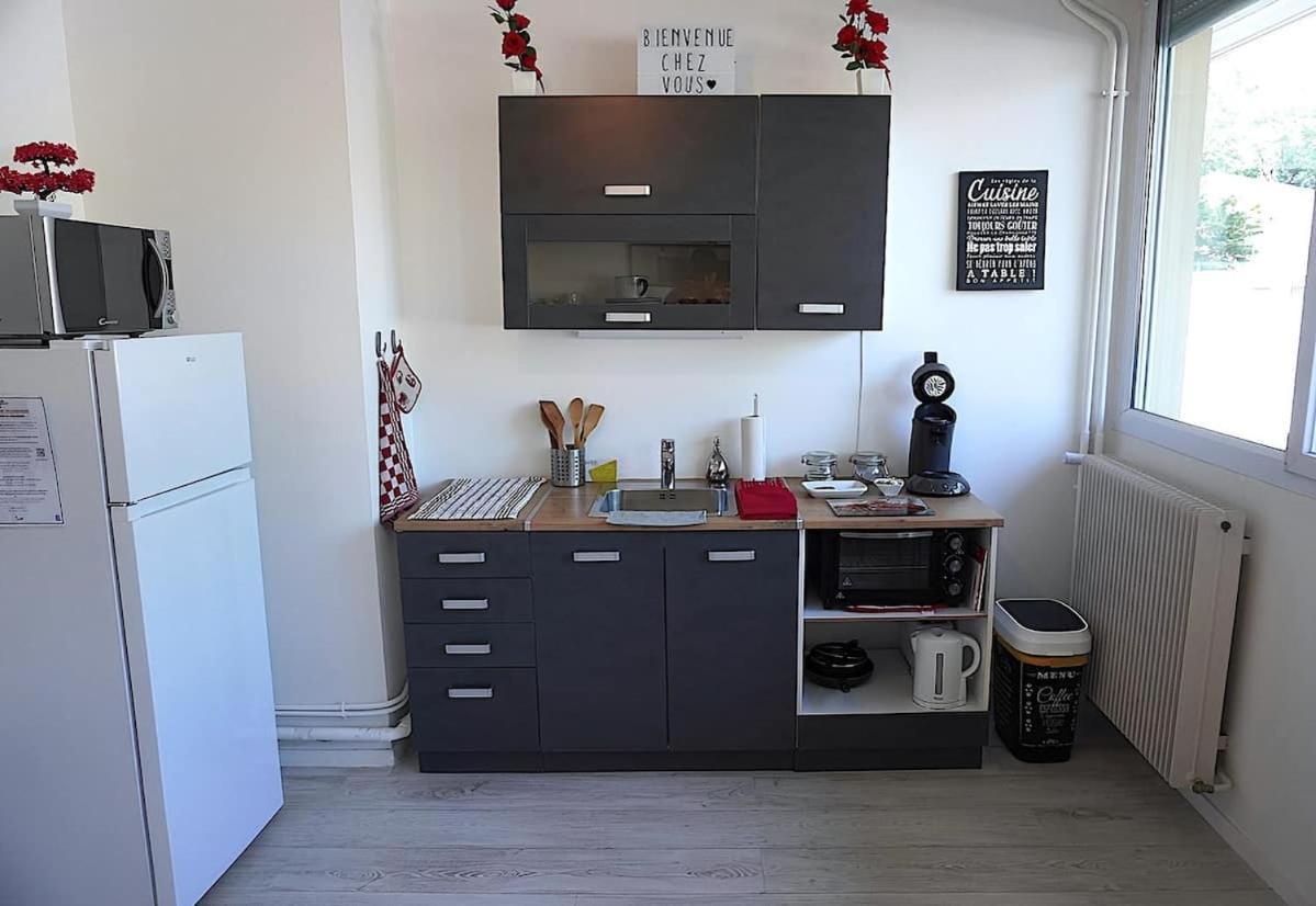 Appartement La Roseraie Parking Prive Mâcon Exteriér fotografie